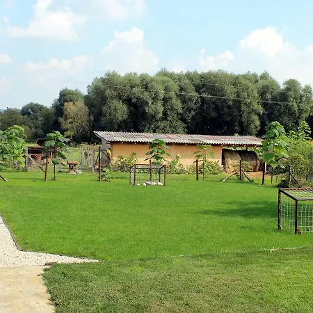 Baratsagos Fahazak * Kehidakustány