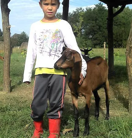 Prázdninový areál Baratsagos Fahazak